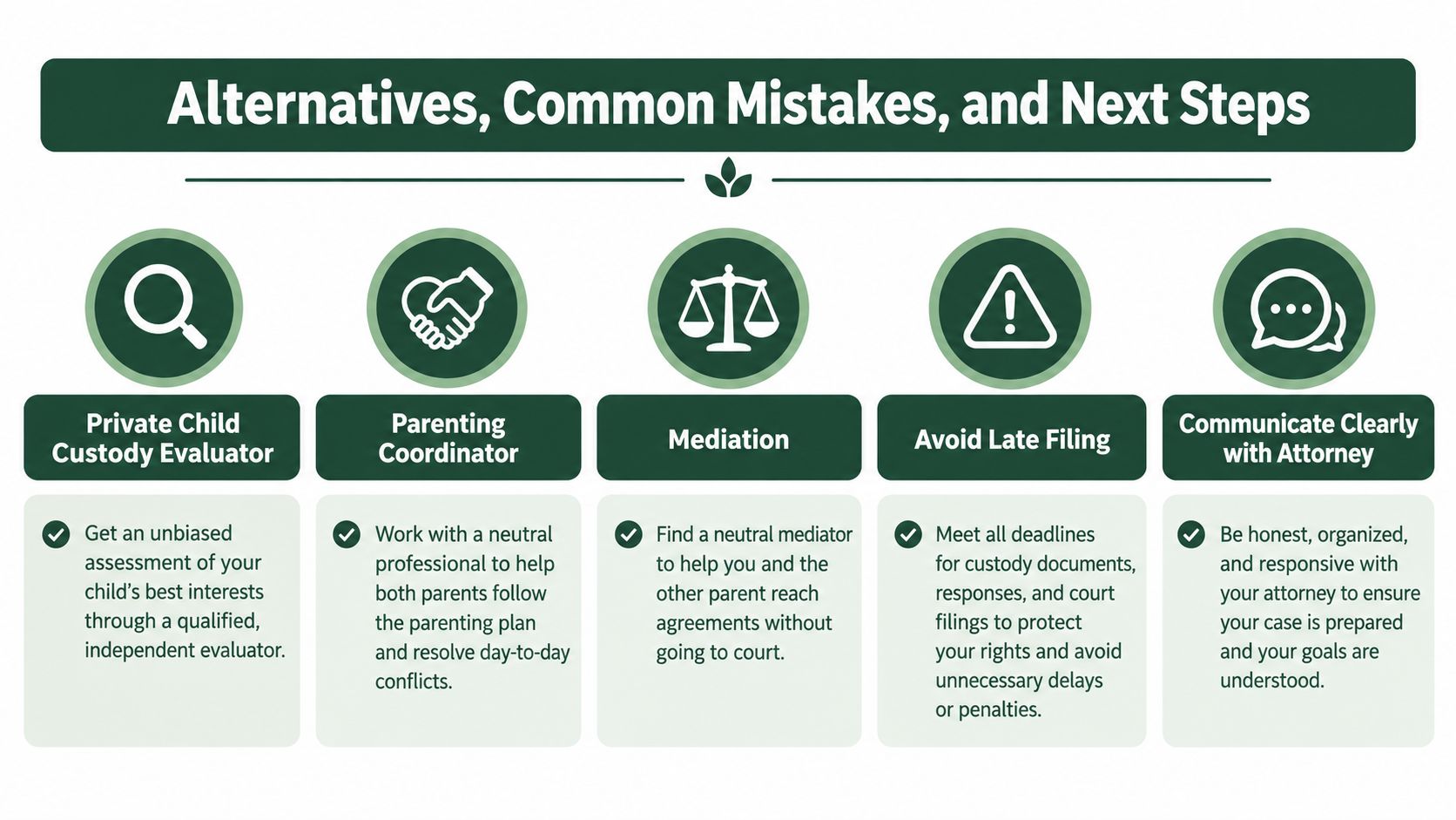 A visual guide outlining child custody alternatives, common legal mistakes, and important next steps for parents.